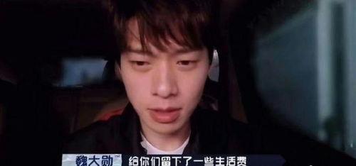 杨姓男艺人爆料事件视频,揭秘娱乐圈惊人内幕